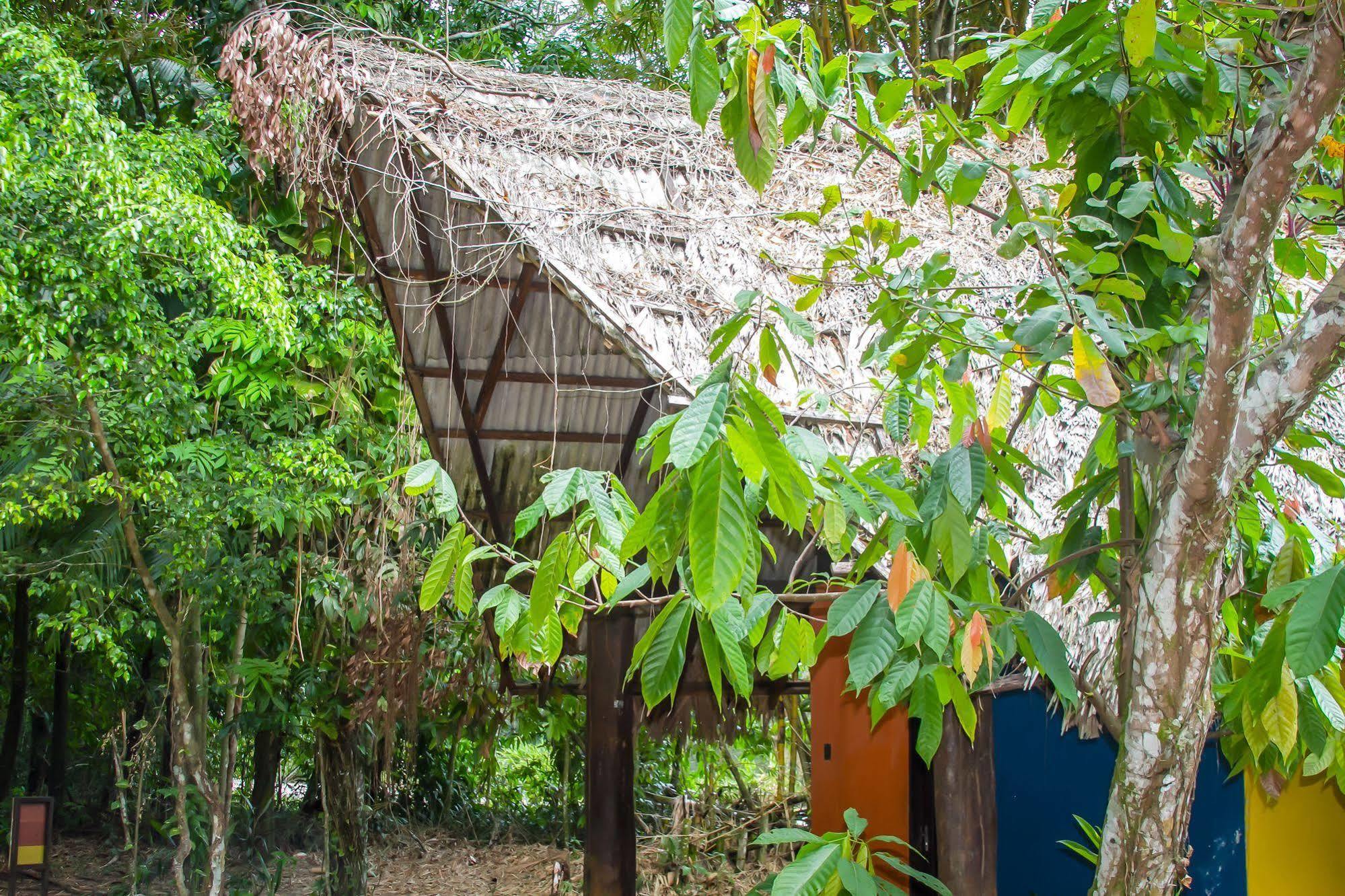 Parque Dos Igarapes Villa เบเลม ภายนอก รูปภาพ